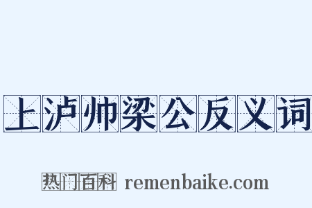 上泸帅梁公反义词是什么意思的图片